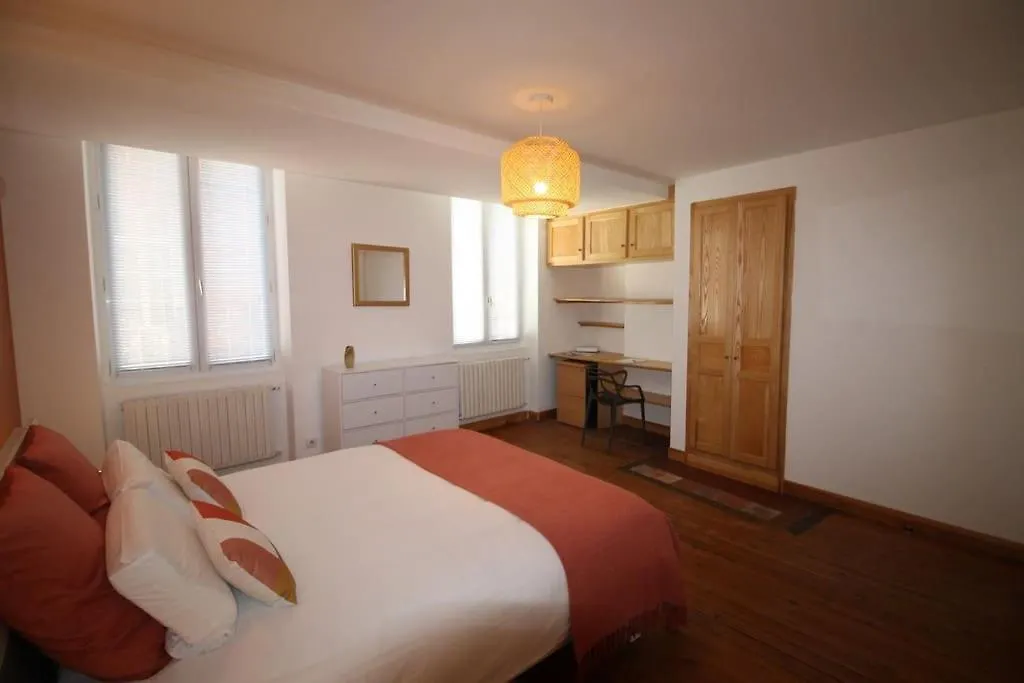 Hypercentre Apartment Albi