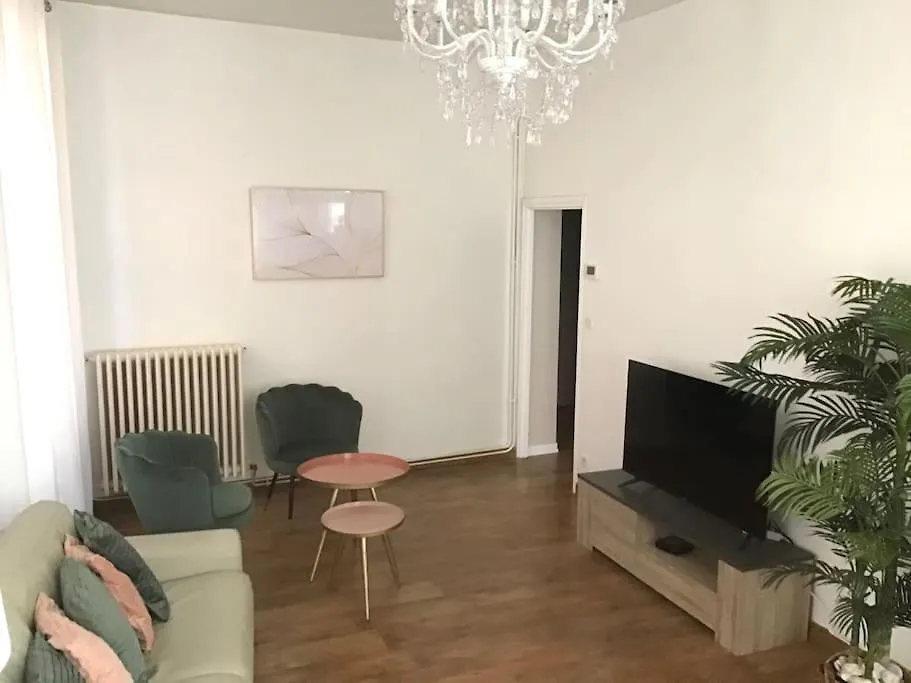 Hypercentre Apartment Albi