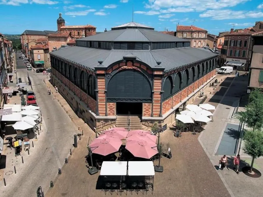 Hypercentre Apartment Albi