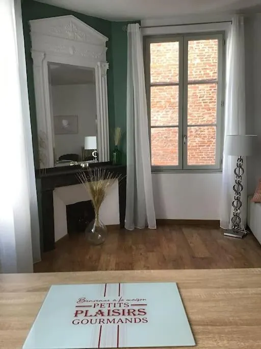 Hypercentre Apartment Albi 0*,