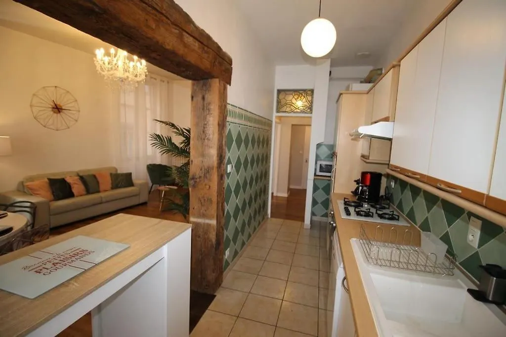 Hypercentre Apartment Albi France